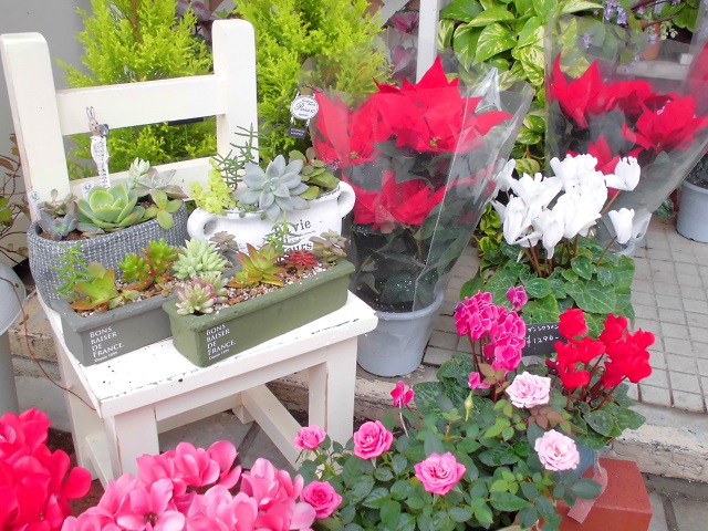 入口に並ぶ色鮮やかなお花