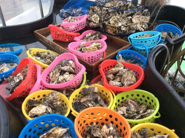 粒の大きさが選べます。大きいほうが食べ応えあり。