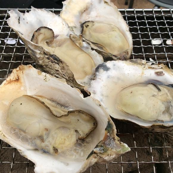 大粒が良いです。チーズのせも抜群!