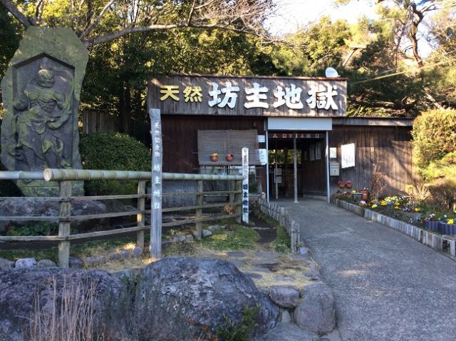 別府「地獄めぐり」行くべき隊調査第二弾「坊主地獄」編
