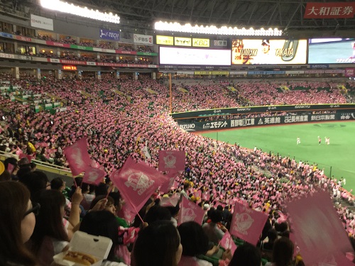 過去最高!ピンクの「タカガール」29,507人が「熱男」に黄色い声援