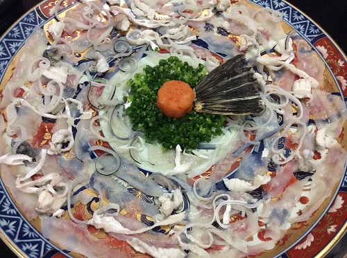 ついにお鍋の季節!皮切りは「河豚鍋(フグ鍋)」です❤