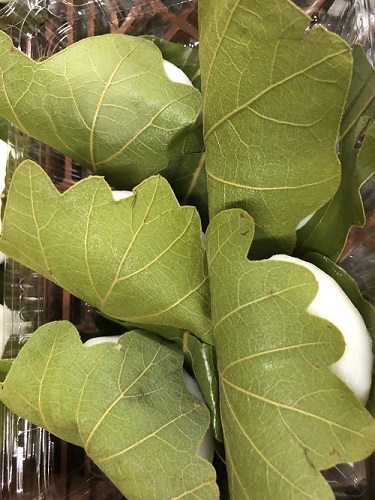 「かしわ餅」 5月の和菓子 今年は6月迄