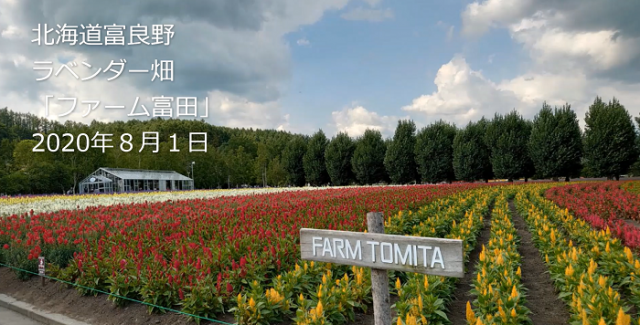 北海道富良野のラベンダー畑はゆっくり鑑賞できます